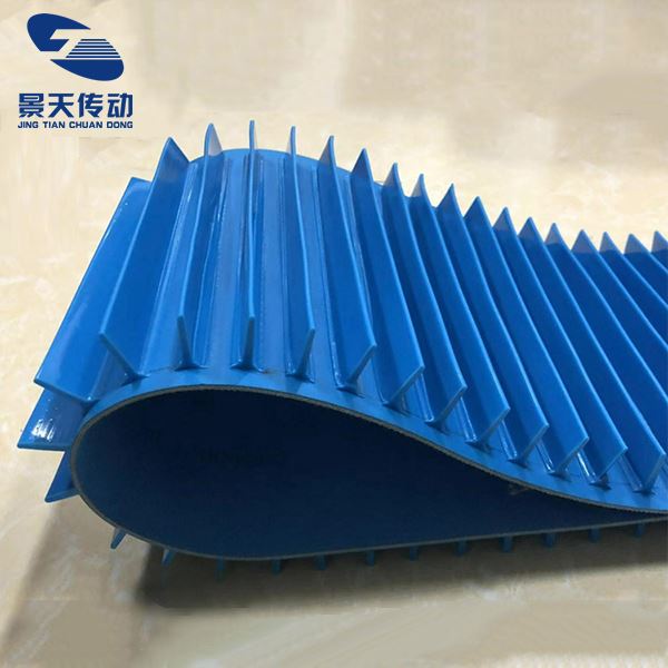 info-1-1 Blue Diamond Conveyor Belt