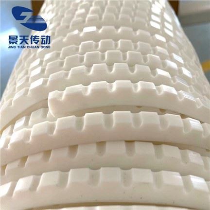 Bande de guidage de la courroie de tapis roulant